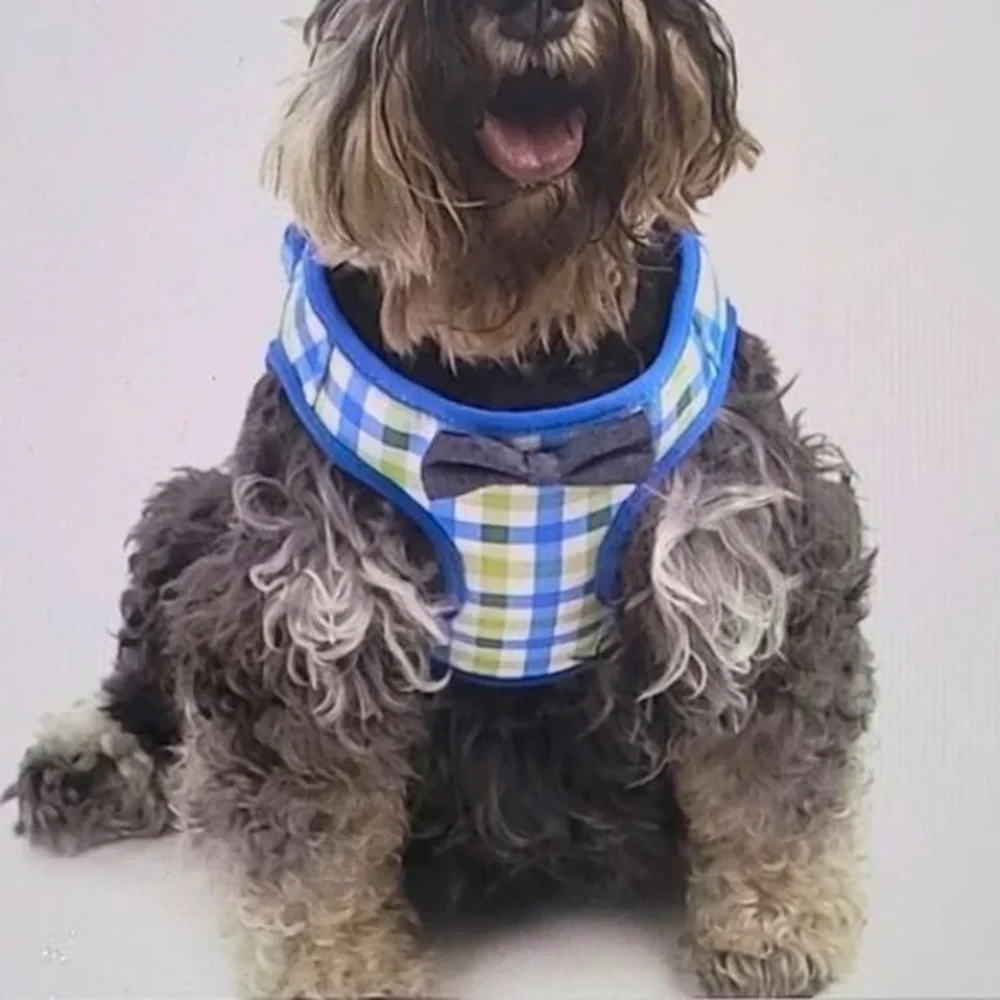 Vibrant Life Dog Plaid Bow Tie Harness